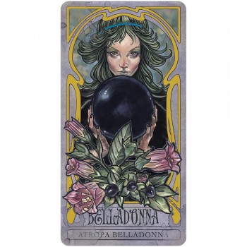 Lady Stirling's Wicked Garden orakulo kortų ir knygos rinkinys US Games Systems